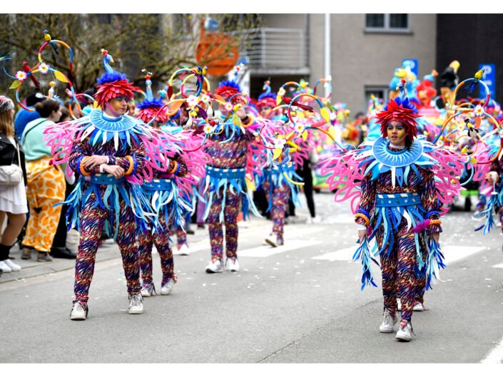 Carnaval Halle